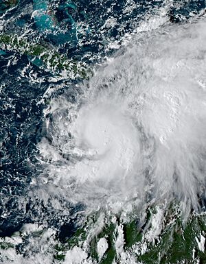 Melissa 2025-10-24 2032Z.jpg