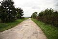Mere Balk Lane - geograph.org.uk - 964409