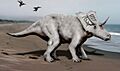Mojoceratops NT