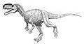 Monolophosaurus jiangi jmallon