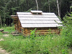 Mountain log cabin in Pyrohiv 2409