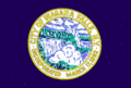 Niagara Falls Flag