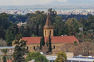 Nicosia 01-2017 img18 View from Shacolas Tower