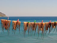 Octopus drying under the sun in Greece
