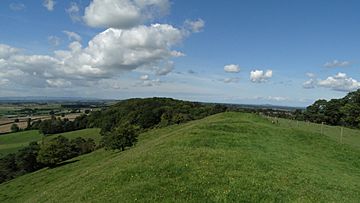 On the Polden Way over Collard Hill - view NW (geograph 5618962)