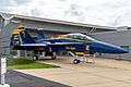 PAX-FA18BlueAngels-2023