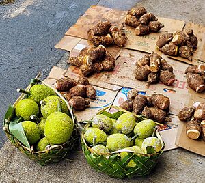 Pago Pago - Breadfruit and Taro
