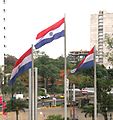 Paraguay flag bandera