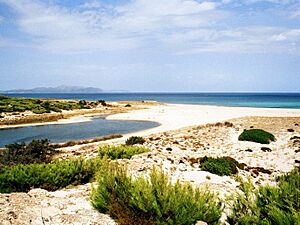 Platja de son Real 2