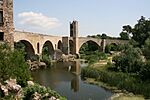 Pont Medieval de Besalú.jpg