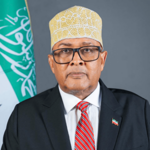 President Abdullahi (Irro).png
