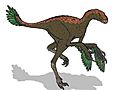 Protarchaeopteryx 4713