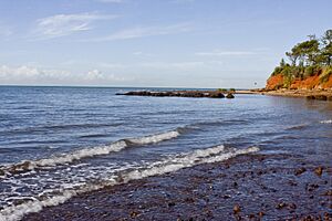 Red Cliffs of Scarborough Erosion May2008-035+ (2516024508)