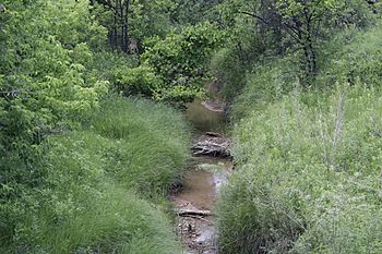 Redwater Creek seen from Redwater Road in Beulah, Wyoming.jpg