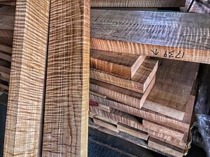 Roasted Figured Maple Guitar Neck Blanks