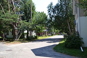 Rues Beattie et des Pins, Mont-Tremblant - 1
