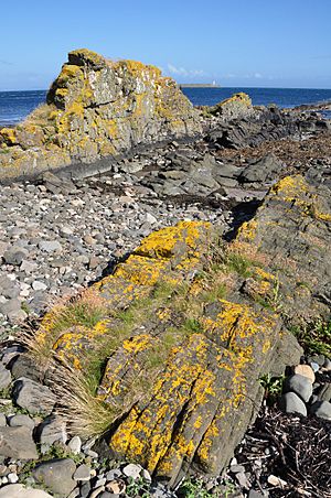 Scotland, Isle of Arran, Kildonan, Dykes
