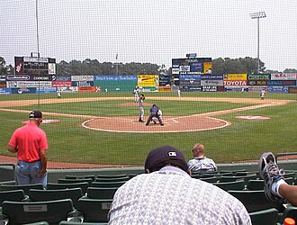 Shorebirdsgame