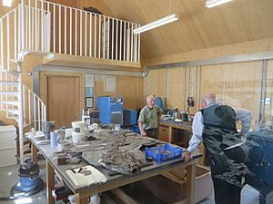 Steve Etches in workshop, The Etches Collection, Kimmeridge, Dorset