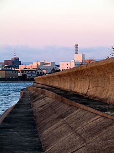 Tsunami wall