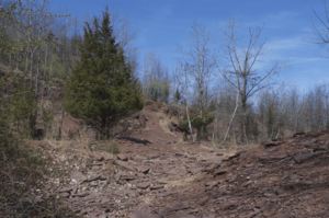 Walter-kidde-dinosaur-park