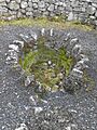 Well of Saint Sairnait (Saint Sourney) 2