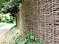 Wickerwork fence and road past Old Hall Farm - geograph.org.uk - 529110
