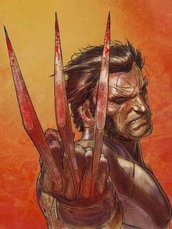 Wolverine Weapon X Vol 1 1.jpg