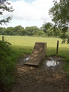 "Platform for Self Elevation" - a useful sculpture - geograph.org.uk - 512541