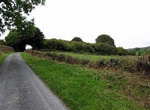 "The Dorsey" an Iron Age Linear Earthwork crossing Bonds Road (geograph 4155341)