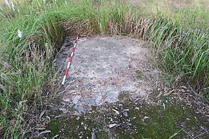 650053 Kitchen chimney and boiler base (N concrete slab) of former Pacific Islander Hospital building, from west (EHP, 2017)
