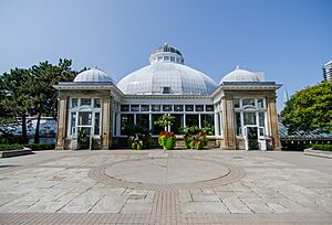 Allan Gardens (37815885434)