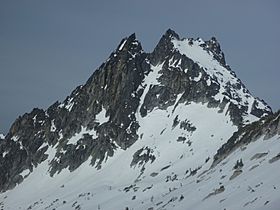 Argonaut from the East