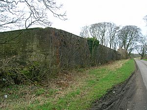 Ashgrove walled garden