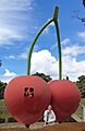 Big cherry latrobe