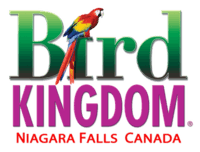 Bird Kingdom Logo.png