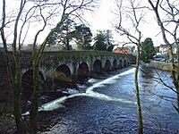 Bridge over the River Sullane, Macroom from the new riverside walk. - geograph.org.uk - 1239799
