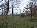 Calender Meadows 1