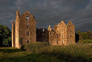 Castles of Munster, Burncourt, Tipperary (2) - geograph.org.uk - 1393348.jpg