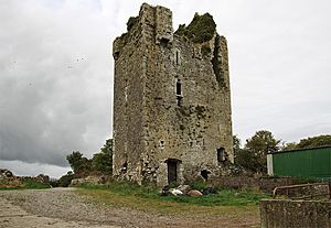 Castles of Munster, Moycarkey, Tipperary - geograph.org.uk - 1542271
