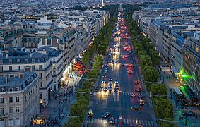 Champs Elysees from the Arch