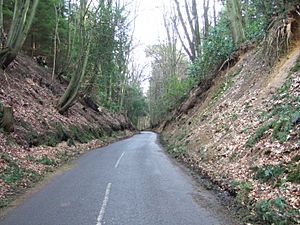 Coldharbour Lane - geograph.org.uk - 326103