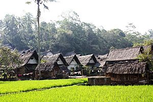 DSC00032 Java Ouest Little Village Kampung Naga (6220092346)