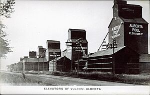 Elevators of Vulcan, Alberta. after 1920