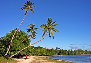 Erakor Beach, Efate, Vanuatu, 2 June 2006 - Flickr - PhillipC