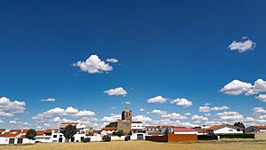 Partial view of Puebla de la Reina