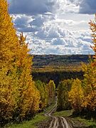 Autumn