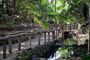 Ferndell griffith park