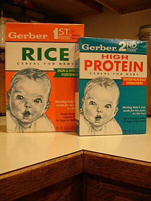 Gerber's Baby Box Food