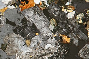 Granodiorite pmg ss 2006